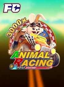 bet969